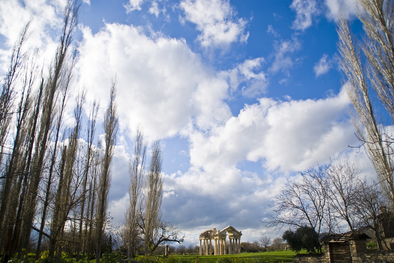 The Enigma of the Ancient Mediterranean Cultures